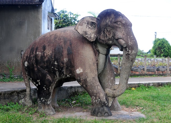Bình Định: Đề nghị công nhận bảo vật quốc gia hai tượng voi đá thành Đồ Bàn 