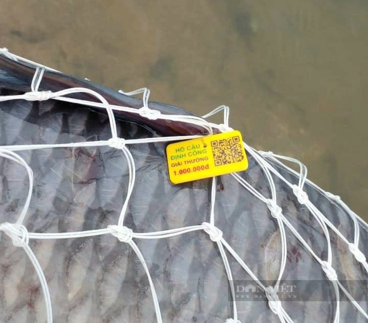 Chủ tịch UBND thành phố Hà Nội chỉ đạo kiểm tra, xử lý nghiêm câu cá trái phép ở hồ công ích - Ảnh 4.