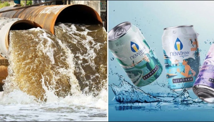Bia làm từ nước thải và ngành công nghiệp xử lý rác của Singapore
