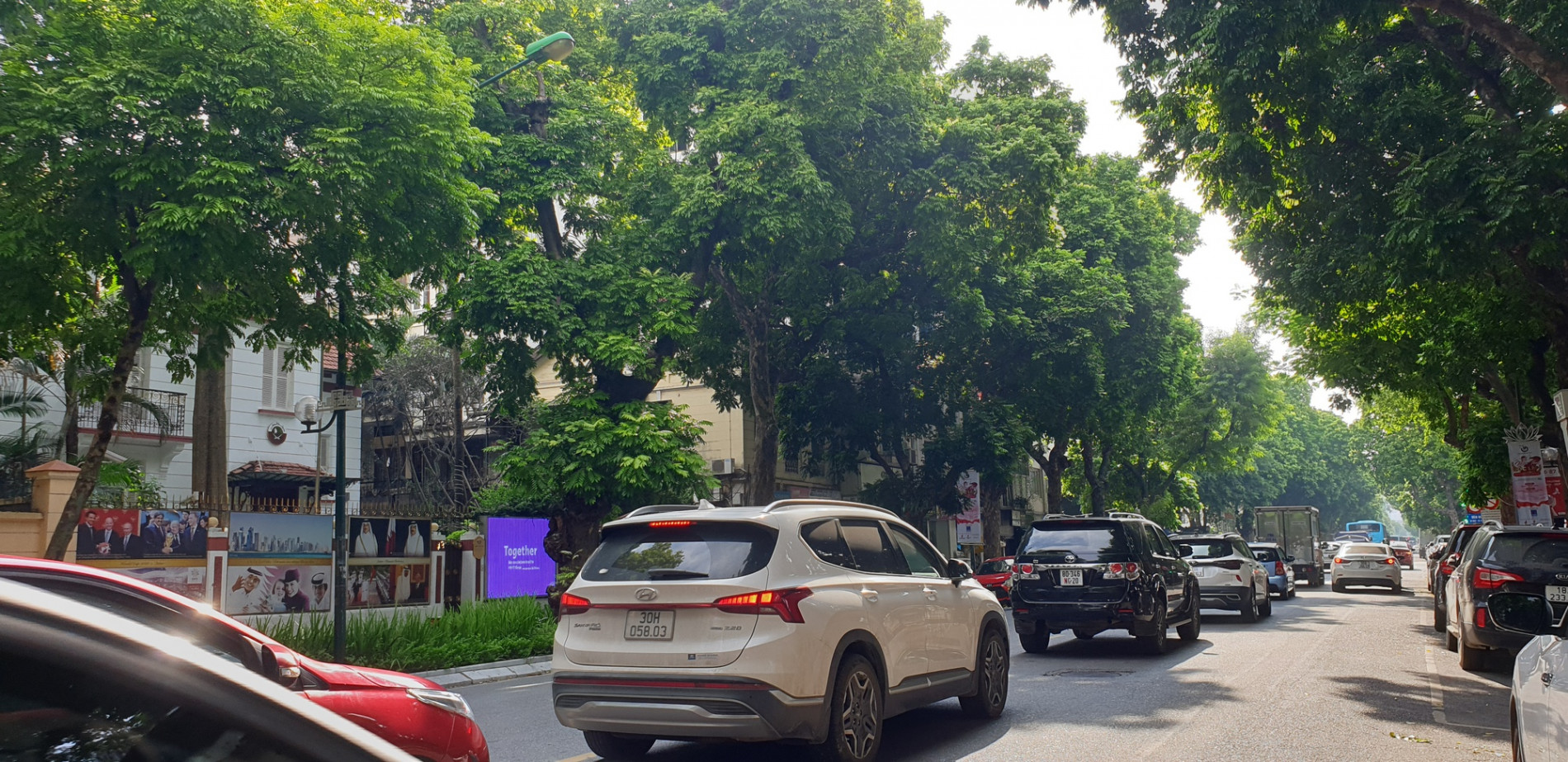 Ký ức Hà Nội: Rợp bóng cây xanh ở Thủ đô - Ảnh 3.