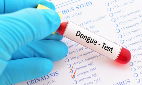 Khi nào nên thực hiện test nhanh phát hiện sớm sốt xuất huyết? - Ảnh 1.