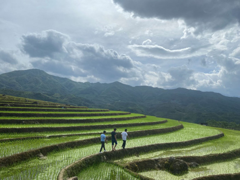 Nhận thức sinh thái vì môi trường bền vững: Tri thức bản địa trong quản lý cảnh quan ruộng bậc thang tại Bản làng miền núi Chu Phìn - Tạp chí Kiến Trúc