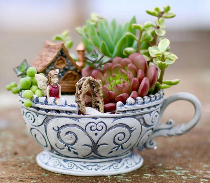 Tận dụng tách trà cũ để tạo nên những khu vườn mini đẹp bất ngờ - Ảnh 3.