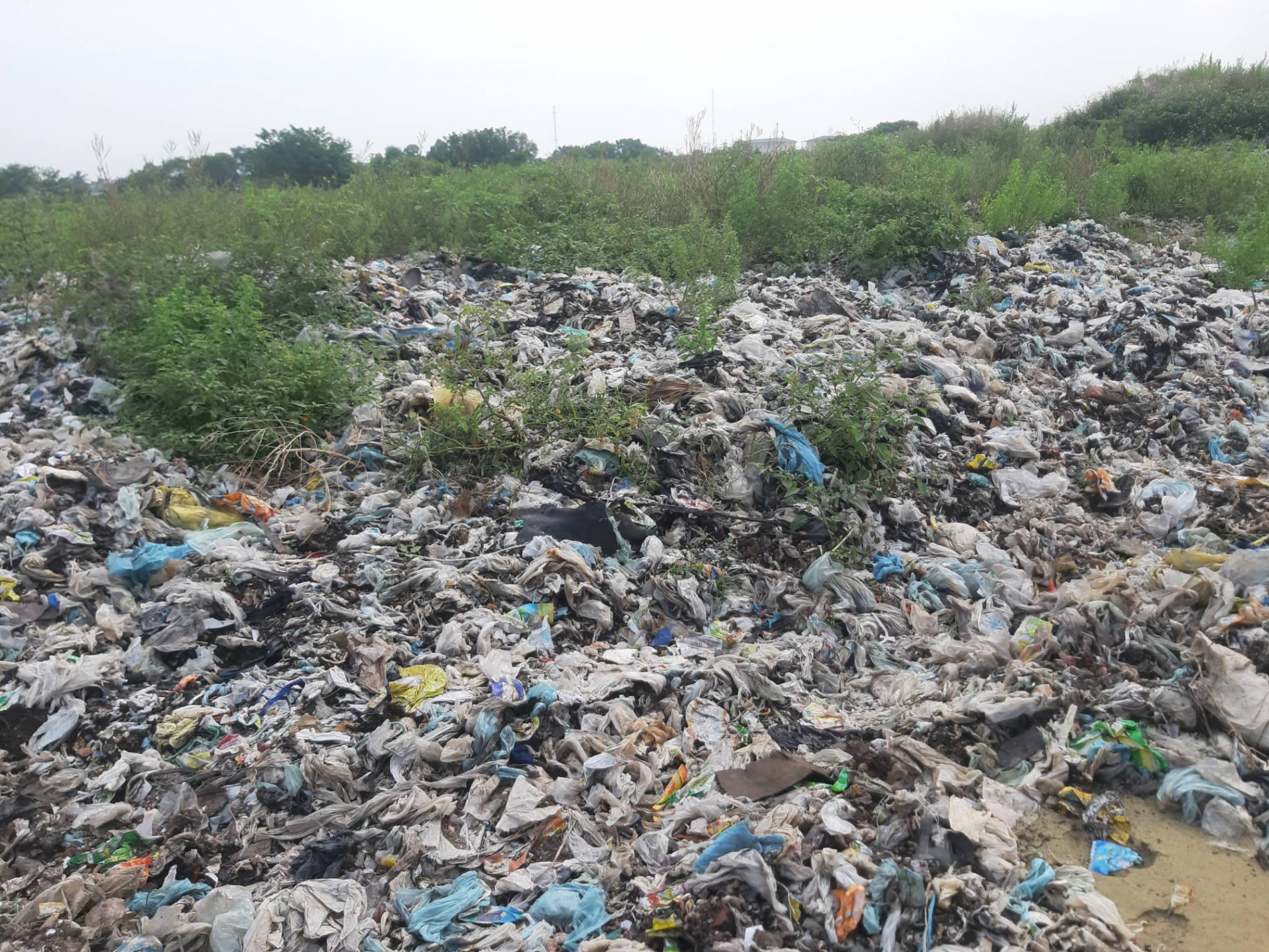 CLIP: Cận cảnh “núi rác” 84.000 tấn bị bỏ quên giữa thành phố - Ảnh 1.