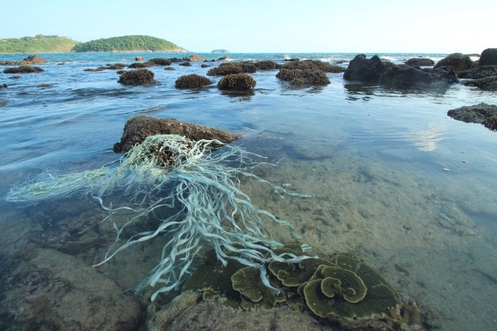 Hơn 7.000 ảnh tham dự giải Ô nhiễm trắng và những tác động đến hệ sinh thái biển - 1