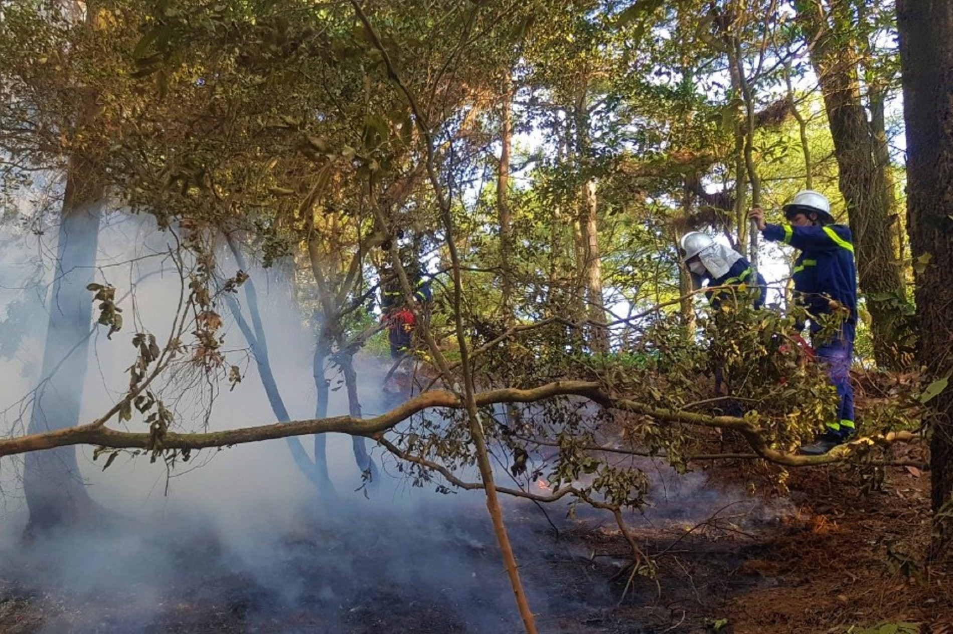 Rừng ở Hà Nội bốc cháy dữ dội, 355 người leo núi dập lửa