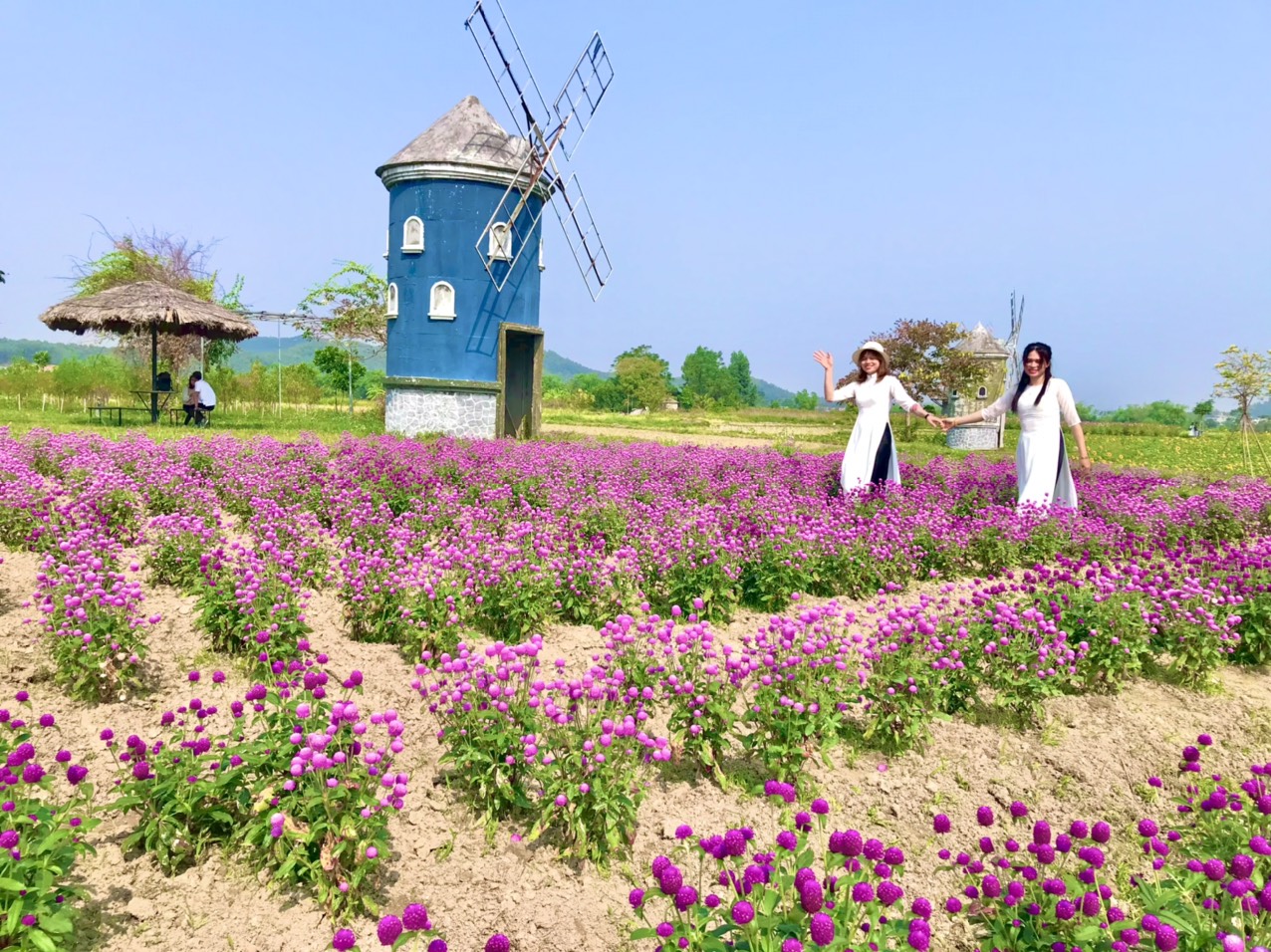 Hình ảnh vườn hoa đầy sắc màu tại ROSE GARDEN Đa Mai, Bắc Giang sẽ đưa bạn vào một thế giới tươi đẹp và tràn đầy hoa hồng.
