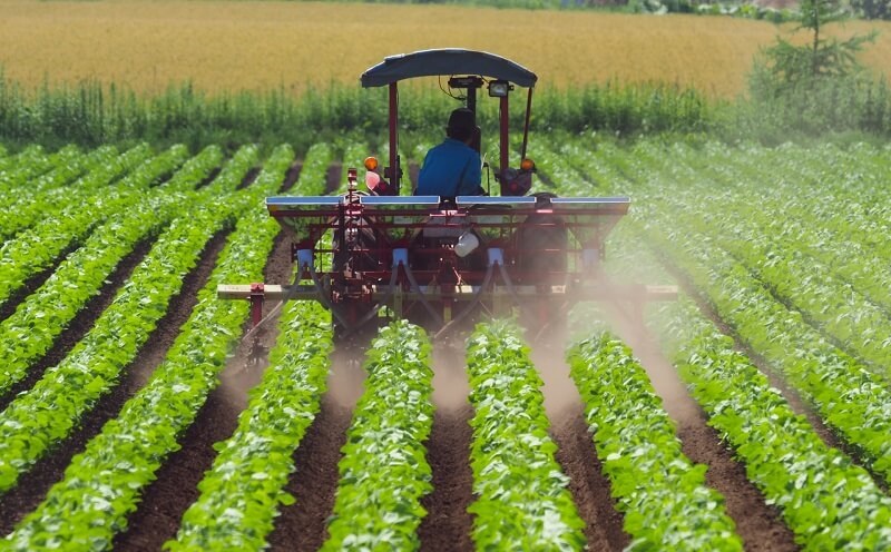 Việt Nam áp dụng tiêu chuẩn nông nghiệp hữu cơ hài hòa - thúc đẩy năng lượng xanh