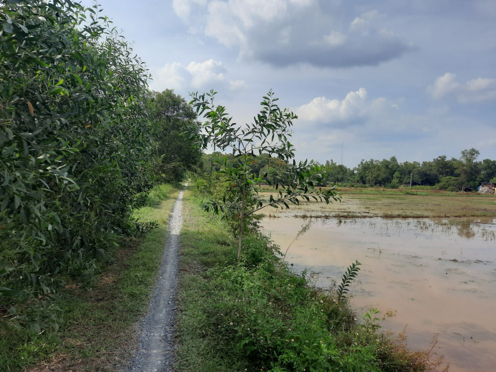 Toàn cảnh tuyến vành đai 3 đi qua xã Xuân Thới Sơn, huyện Hóc Môn, TP HCM