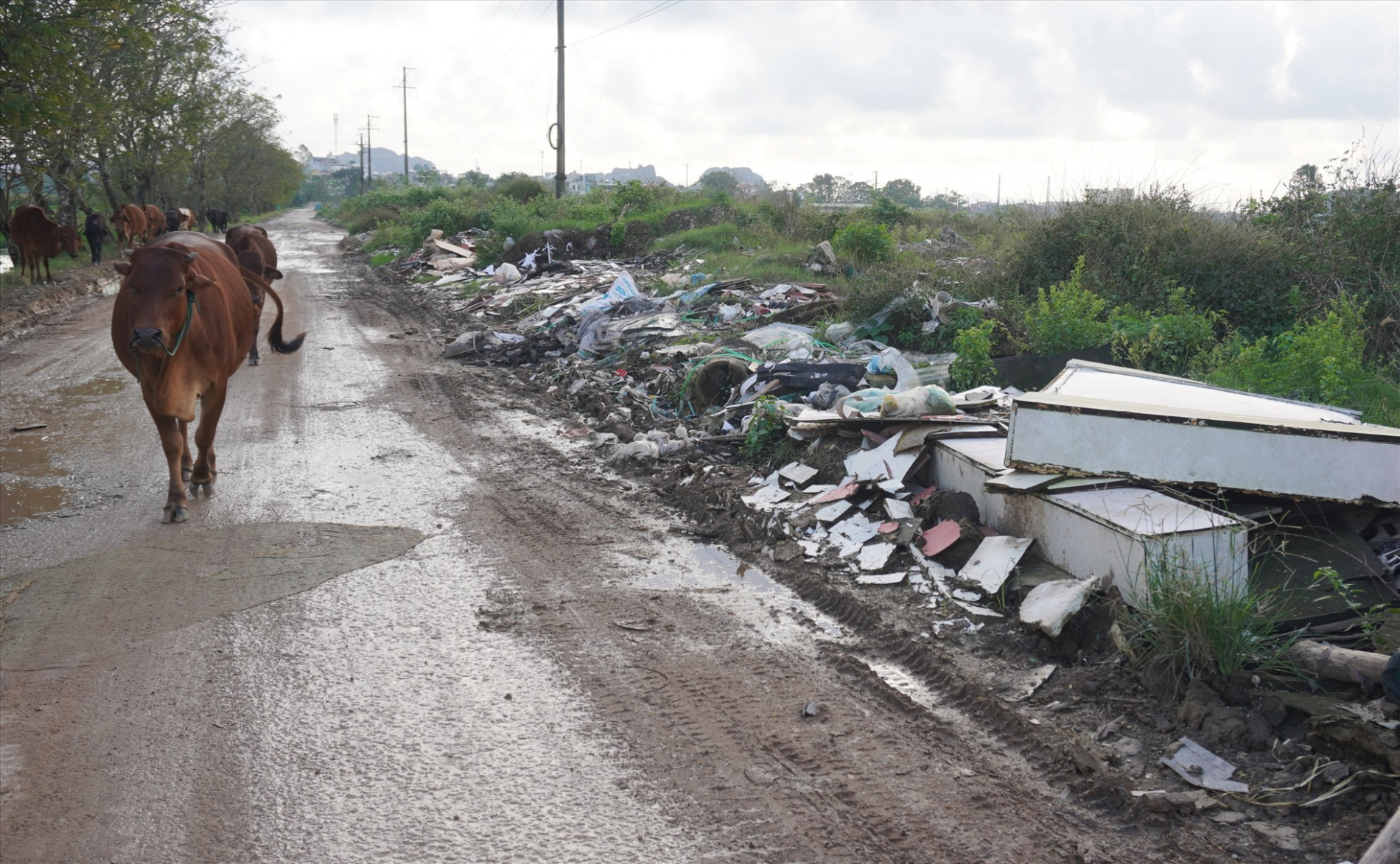Ghi nhận thực tế cho thấy, rác thải bủa vây tại nhiều điểm ở quanh khu công nghiệp Tây Bắc Ga. Ảnh: Quách Du