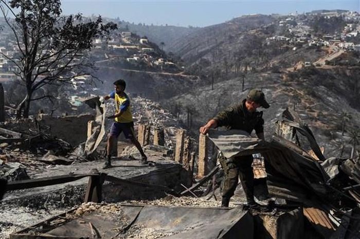 Nhiều ngôi nhà bị thiêu rụi trong vụ cháy rừng tại Vinã del Mar (Chile), ngày 23/12/2022. (Ảnh: AFP/TTXVN)