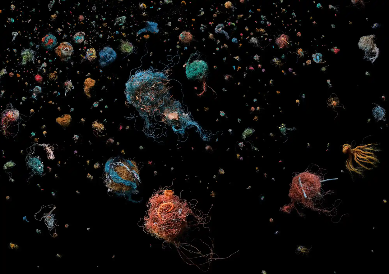 Đại dương rác thải: Khi nhựa xâm chiếm toàn bộ đời sống của hệ sinh thái biển - Ảnh 1.