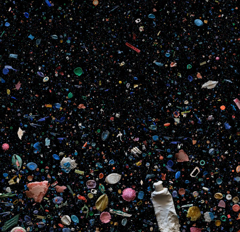 Đại dương rác thải: Khi nhựa xâm chiếm toàn bộ đời sống của hệ sinh thái biển - Ảnh 5.