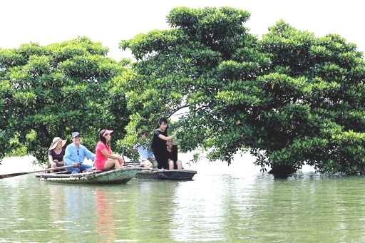 Dự án Tour du lịch phục hồi và bảo tồn rừng ngập mặn xã Đồng Rui, huyện Tiên Yên được Tỉnh Đoàn hỗ trợ.