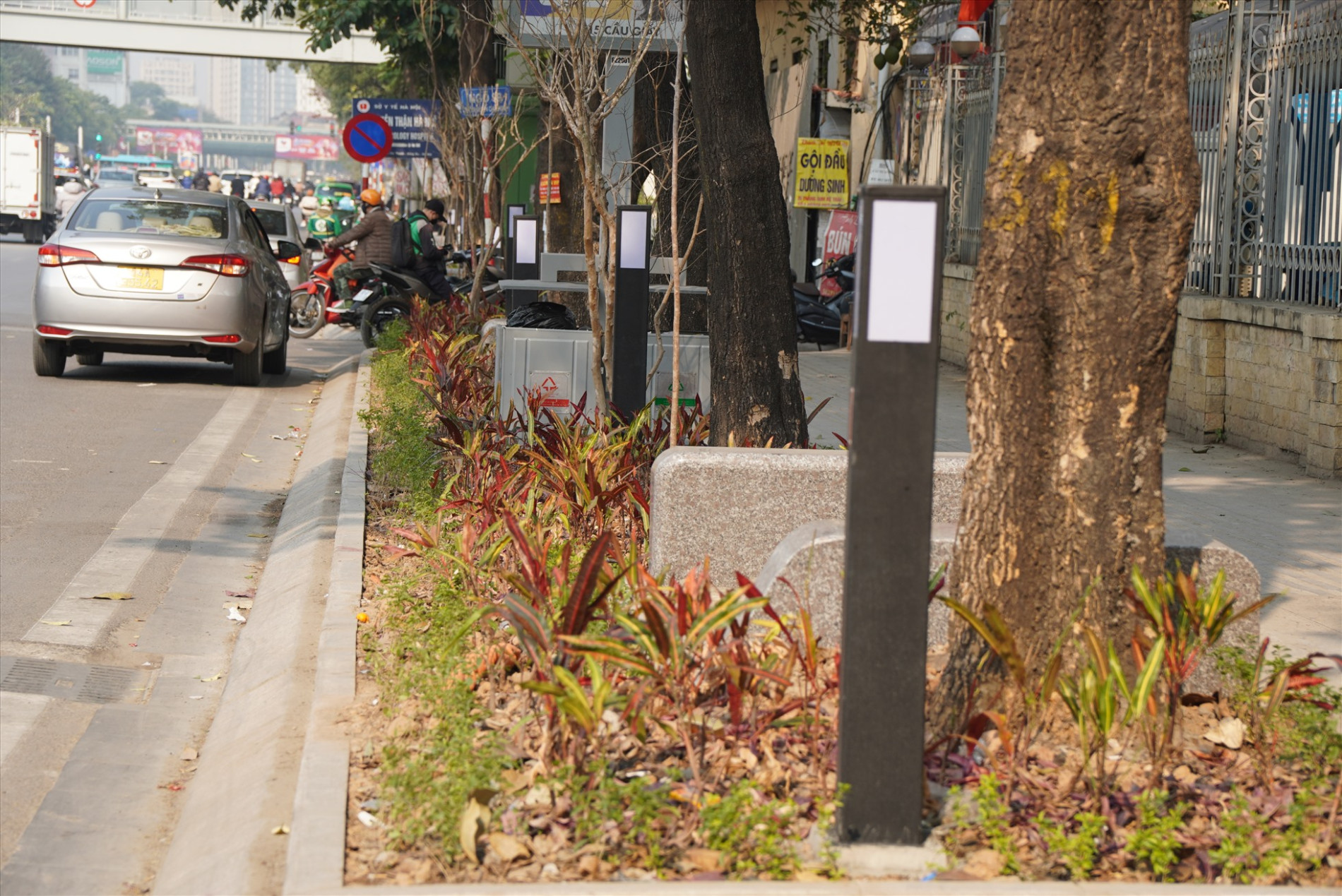 Một số ghế đá được bố trí ngay dưới gốc cây hoa sữa cổ thụ trên phố Nguyễn Chí Thanh
