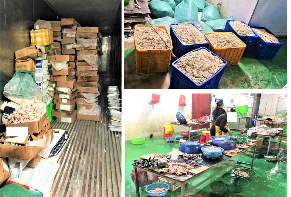 Công an huyện Tân Yên, QLTT tỉnh Bắc Giang, phát hiện, hơn 9 tấn thực phẩm, không rõ nguồn gốc, xuất xứ