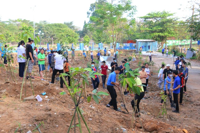 Sinh viên hưởng ứng chương trình trồng cây ‘Vì một Ký túc xá xanh’ ảnh 1