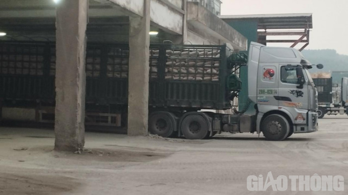Yên Bái: Công ty xi măng Yên Bình ngang nhiên tiếp tay xe chở quá tải 8