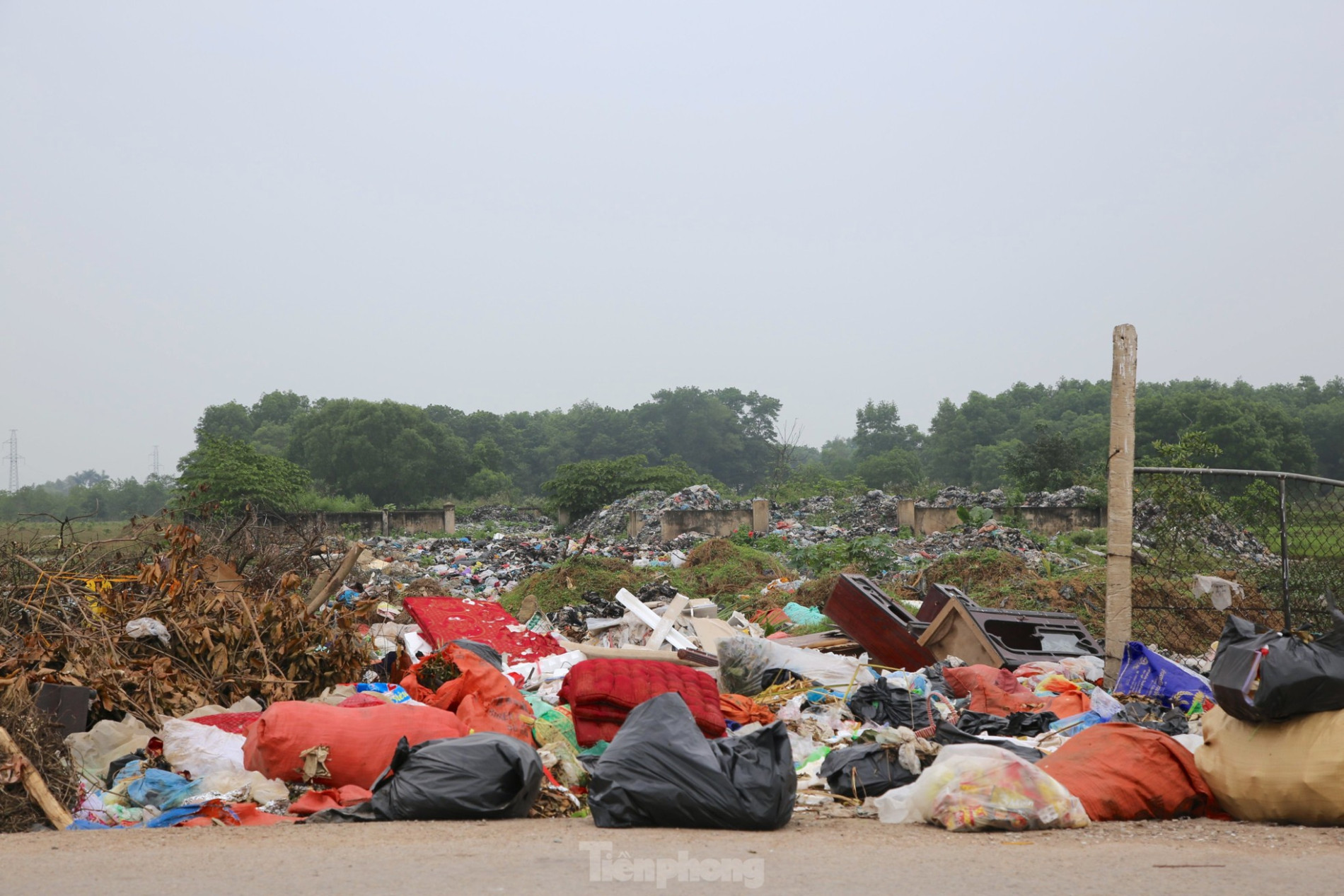 Dân kêu trời vì hàng tấn rác chất như núi ở bãi trung chuyển ảnh 4