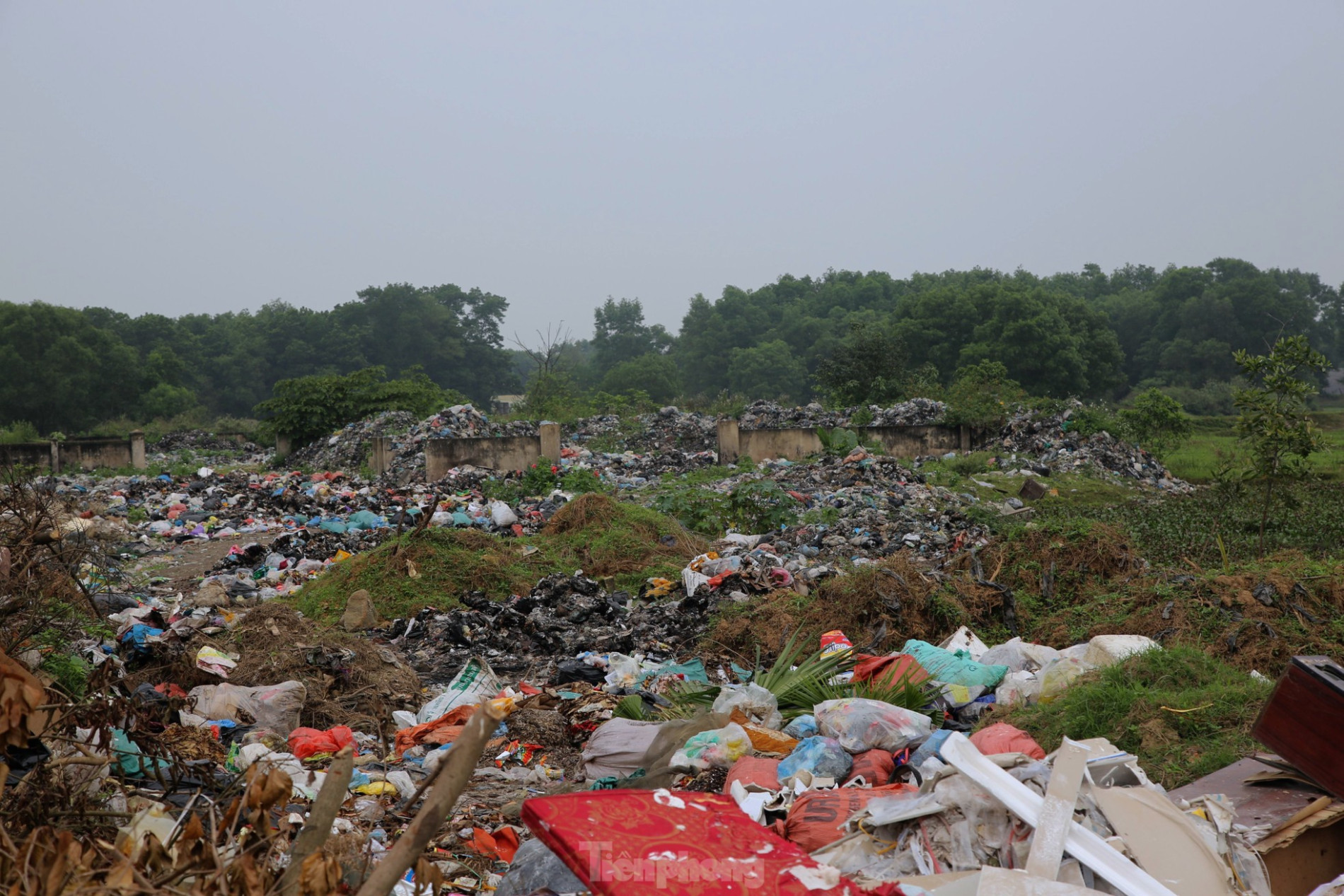 Dân kêu trời vì hàng tấn rác chất như núi ở bãi trung chuyển ảnh 6