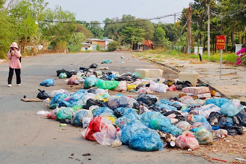 Tái diễn nạn xả rác bừa bãi ở TP Thủ Đức ảnh 1