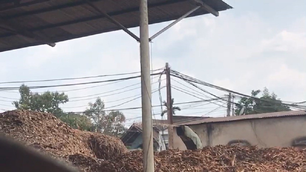 Môi trường - Cận cảnh nhà máy sản xuất viên nén gỗ gây ô nhiễm môi trường