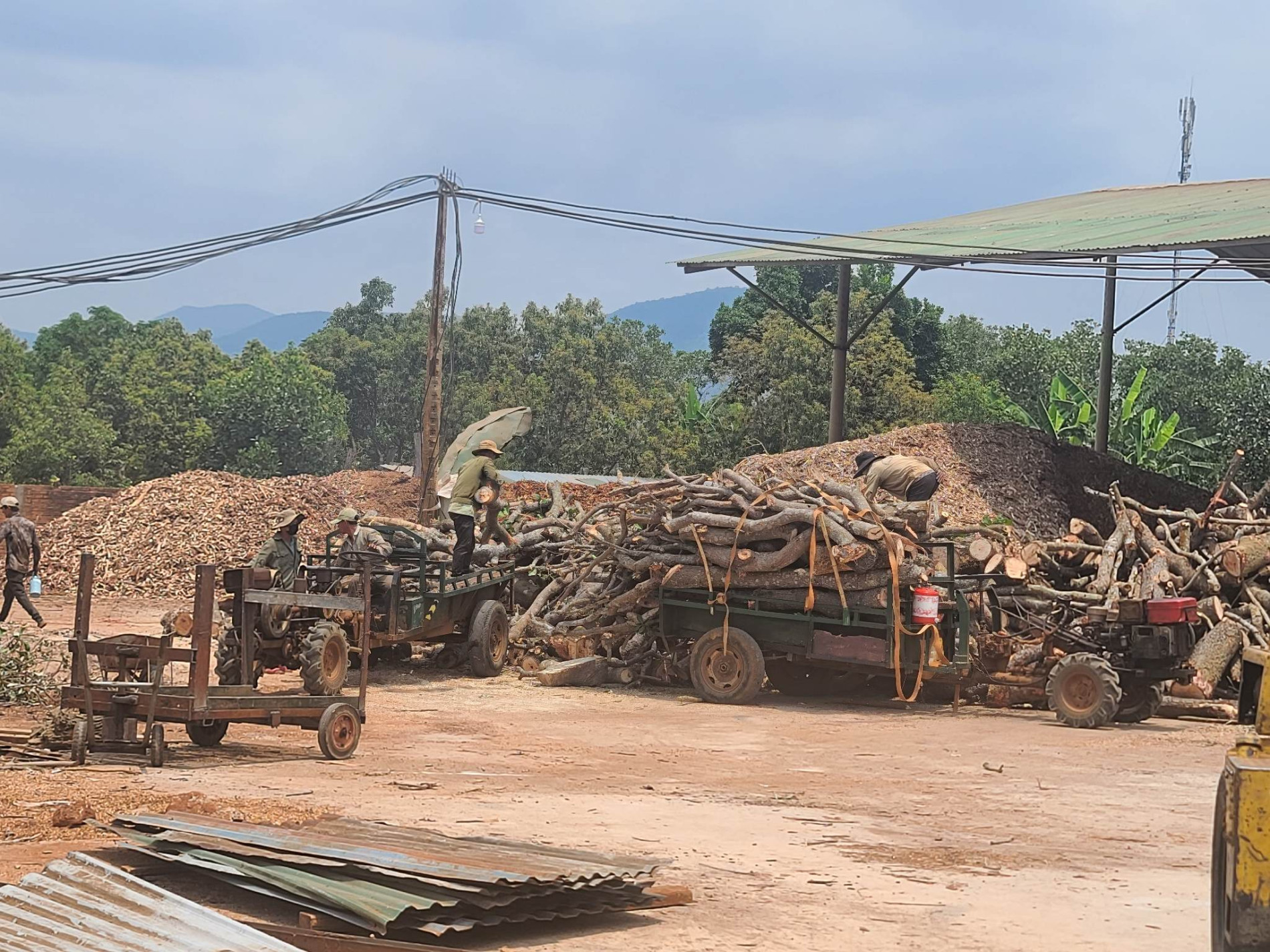 Môi trường - Cận cảnh nhà máy sản xuất viên nén gỗ gây ô nhiễm môi trường (Hình 3).