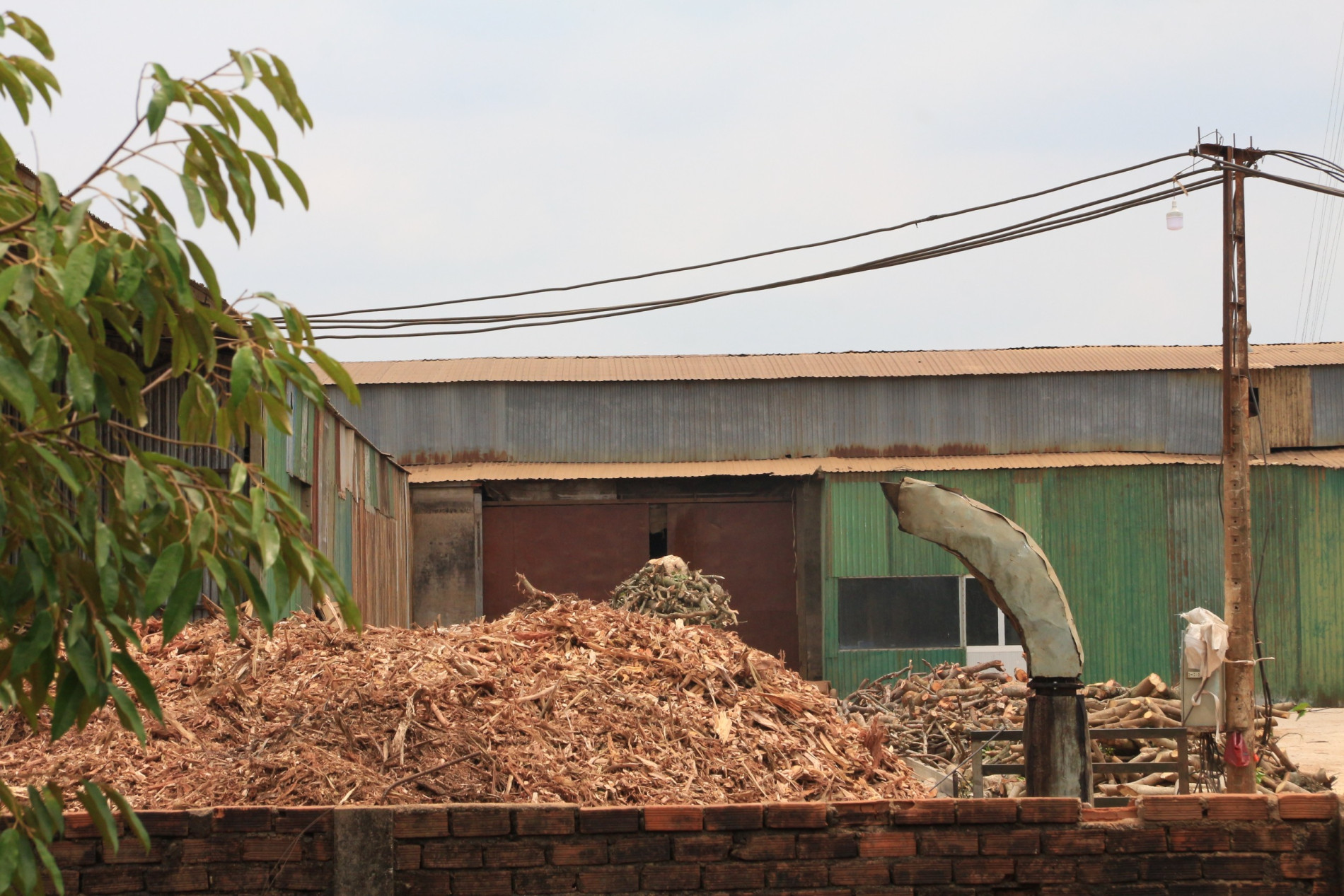 Môi trường - Cận cảnh nhà máy sản xuất viên nén gỗ gây ô nhiễm môi trường (Hình 7).