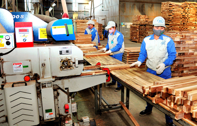 Các doanh nghiệp đề xuất thành lập các cụm, khu công nghiệp tập trung của ngành gỗ và chế biến lâm sản tại các vùng, địa phương có tiềm năng như: Miền núi phía Bắc, Duyên hải Nam Trung bộ và Đông Nam bộ.