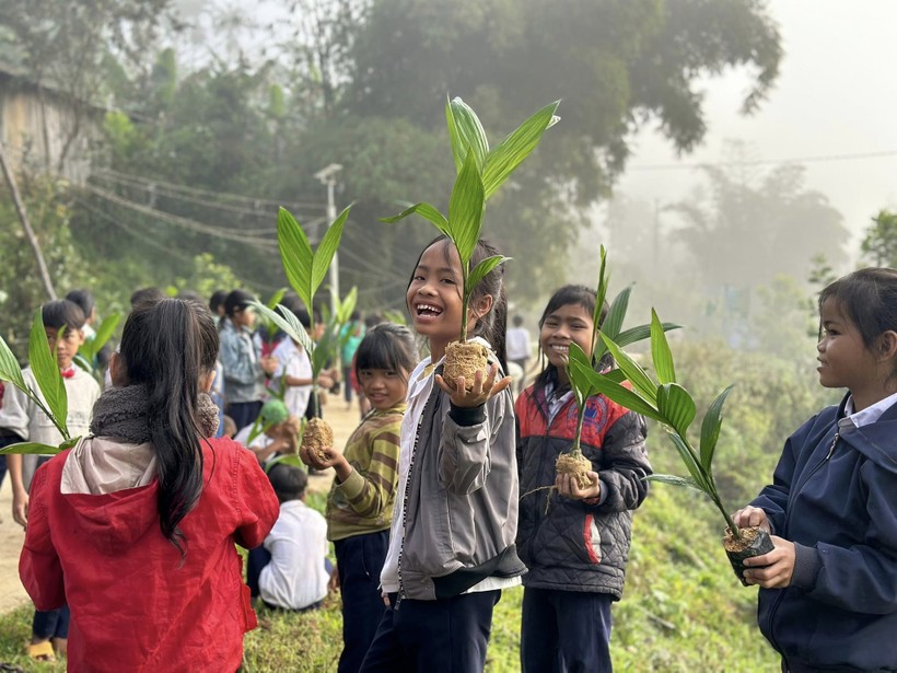 Học sinh Trường Phổ thông dân tộc bán trú Tiểu học Trà Tập trồng cây cau dọc khuôn viên trường học. (Ảnh: Thu Trà). 