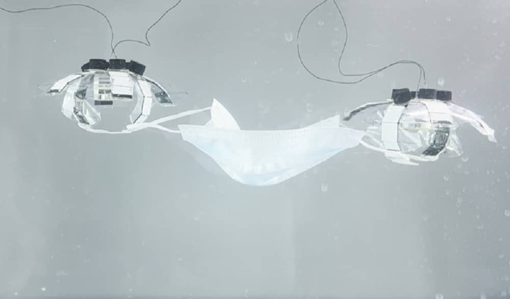 Hai sứa robot hợp tác cùng nhau mang một chiếc khẩu trang lên.