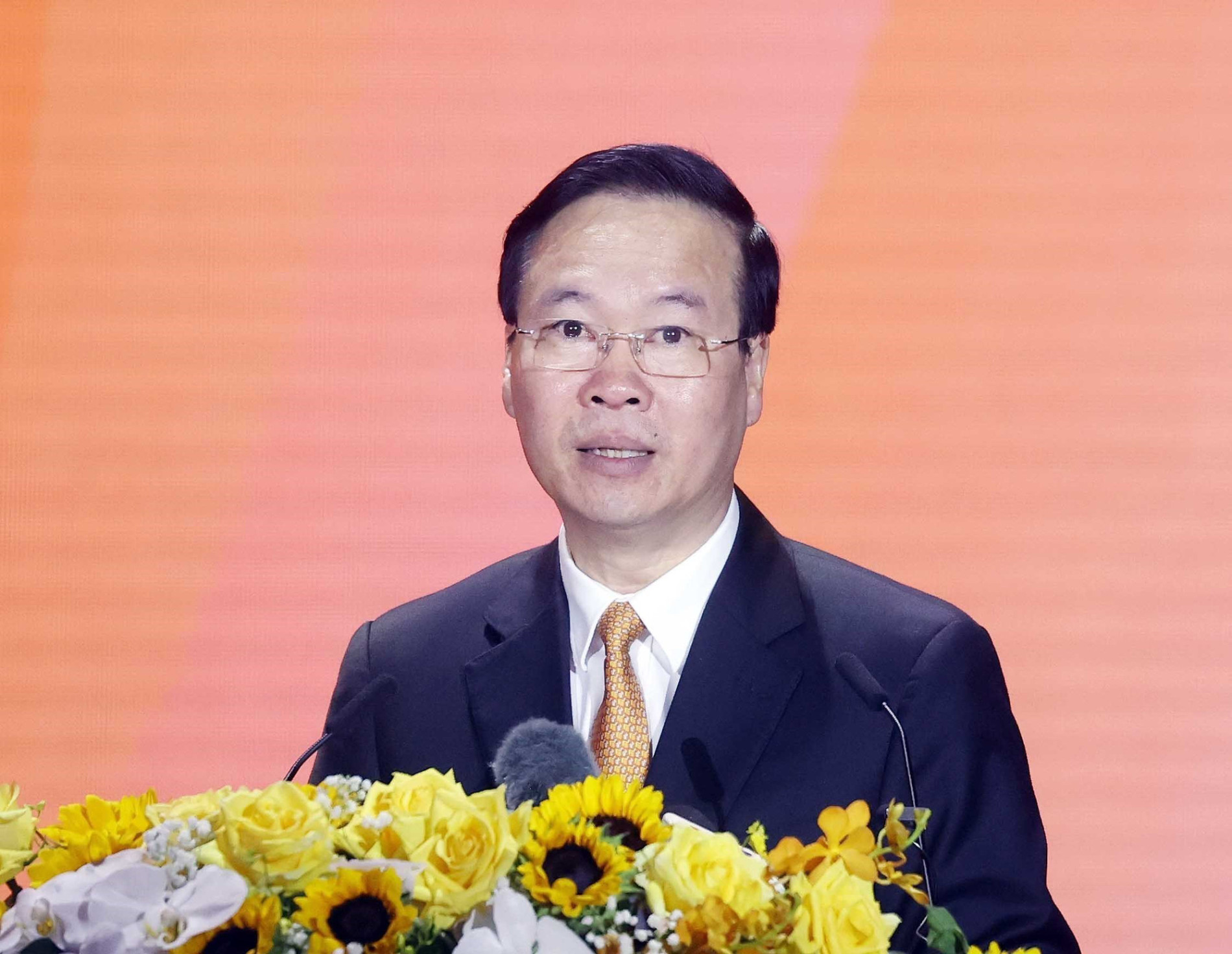 Chủ tịch nước dự Lễ kỷ niệm 60 năm Bác Hồ về thăm tỉnh Nam Định - Ảnh 1.