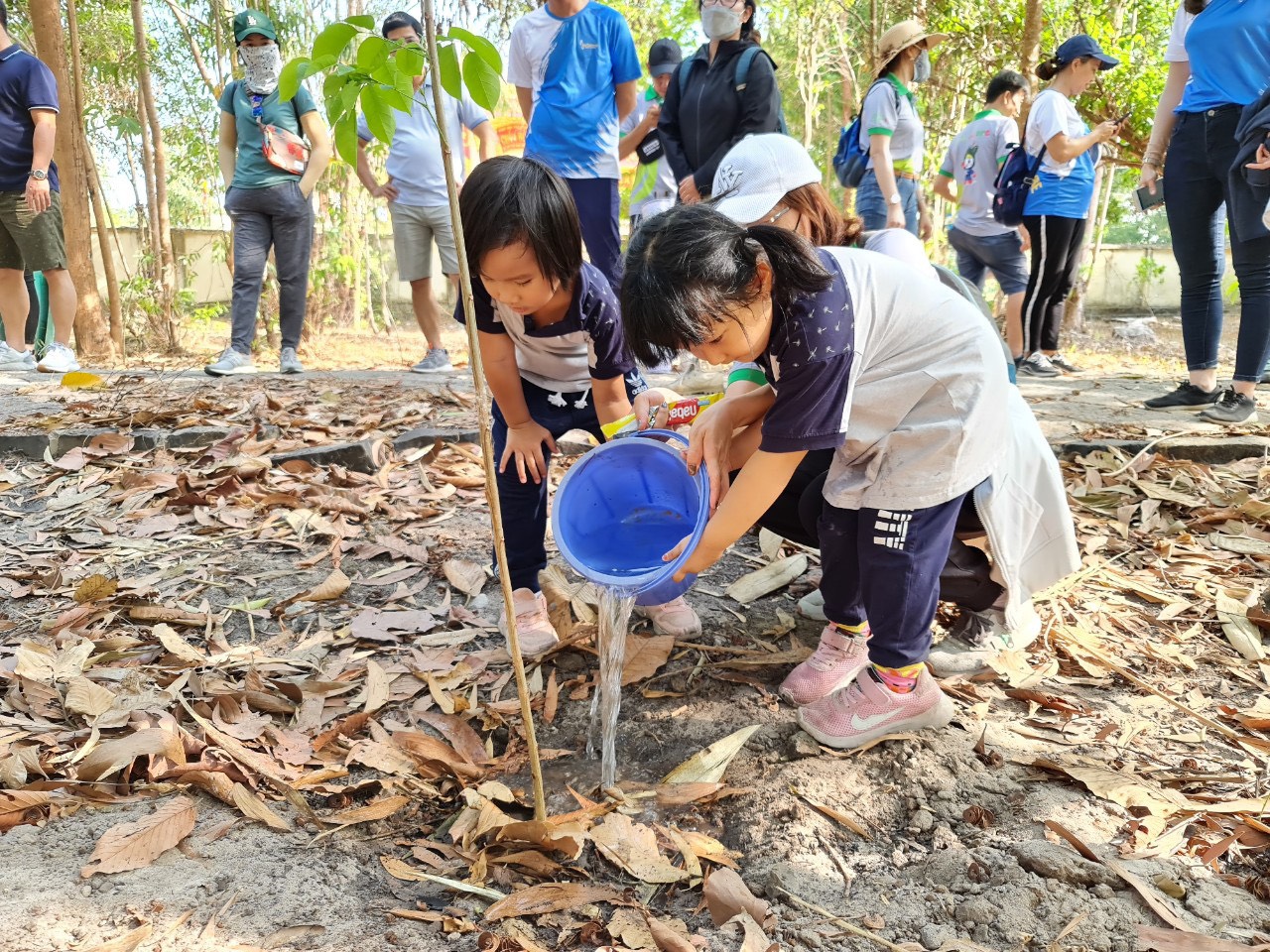 Các em nhỏ tham gia trồng cây tại Khu bảo tồn thiên nhiên Bình Châu - Phước Bửu.