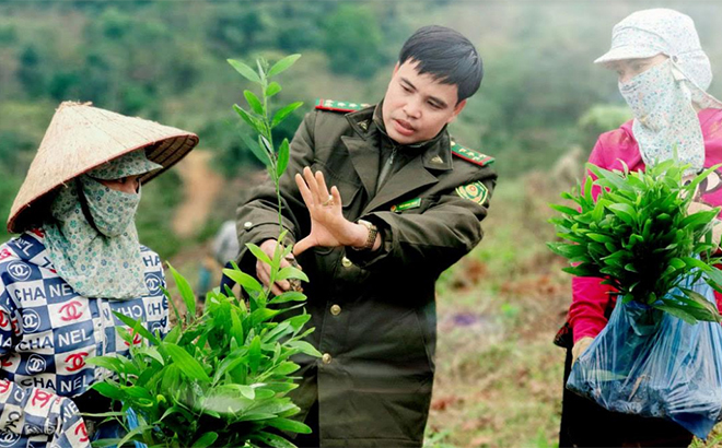 Cán bộ Hạt Kiểm lâm huyện Văn Chấn hướng dẫn người dân kỹ thuật chọn cây giống đạt tiêu chuẩn trồng rừng. (Ảnh Văn Tuấn)