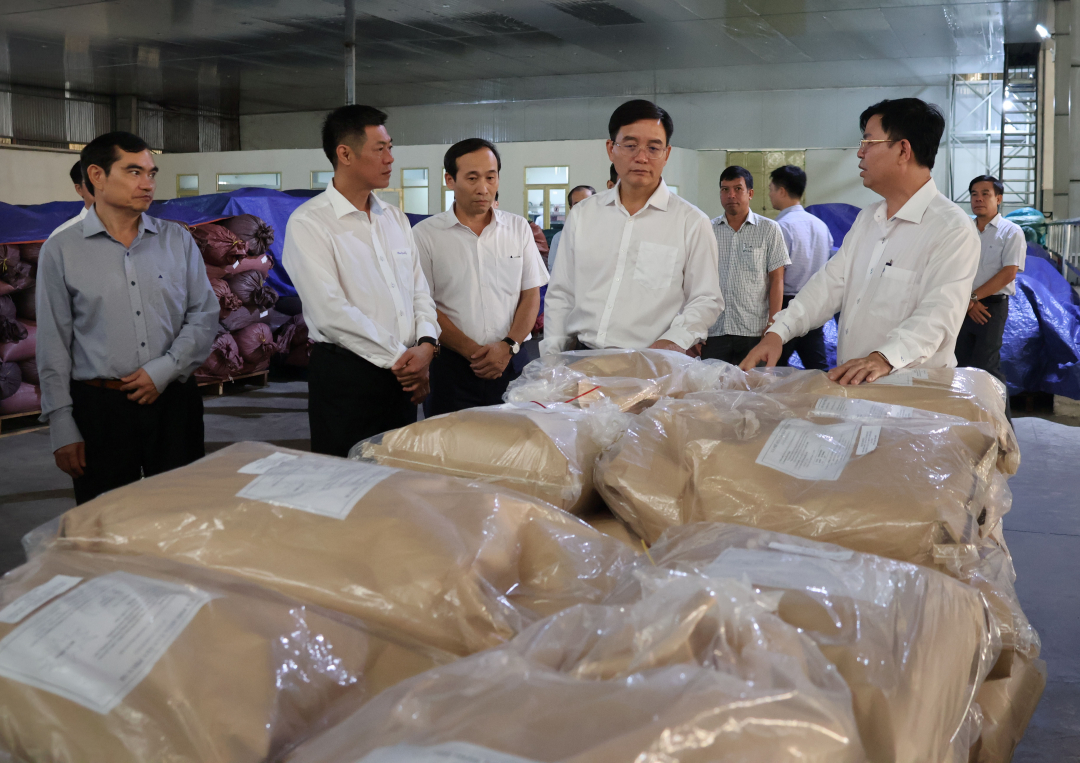 Đoàn công tác của Thường trực Tỉnh ủy thăm khu vực tập kết sản phẩm của Công ty Cổ phần đầu tư và phát triển An Thái 