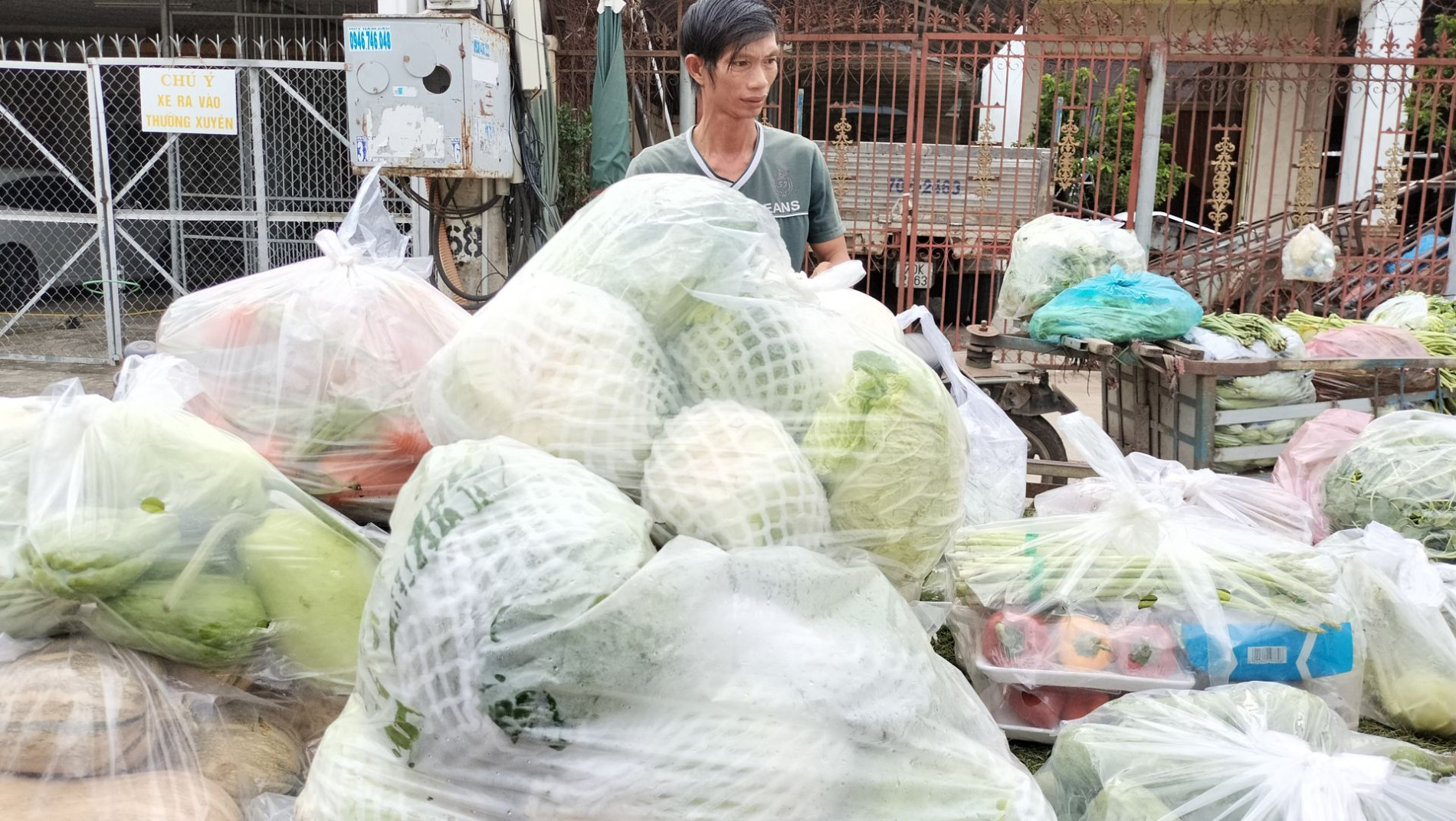 Cần thay đổi thói quen sử dụng túi nylon - Báo Tây Ninh Online