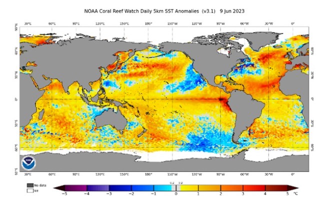 Chuẩn sai nhiệt độ bề mặt nước biển trên các đại dương