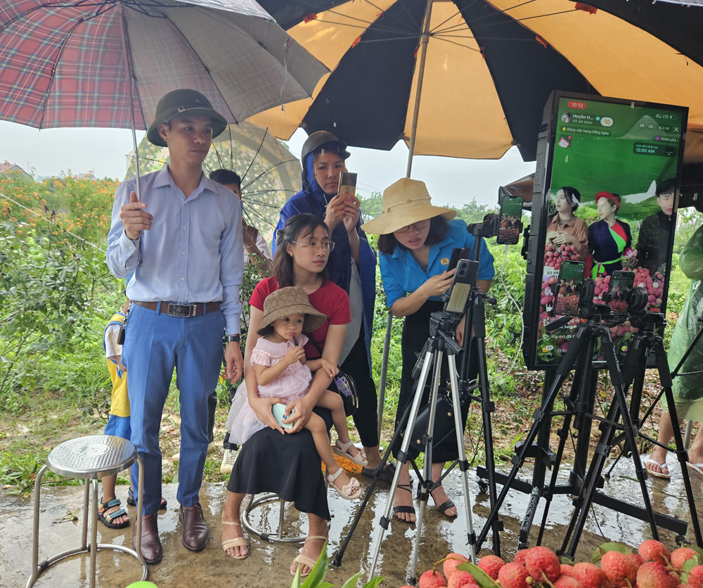 Bắc Giang, tiktok, hỗ trợ người dân, tiêu thụ vải thiều, nông sản, OCOP, năm 2023