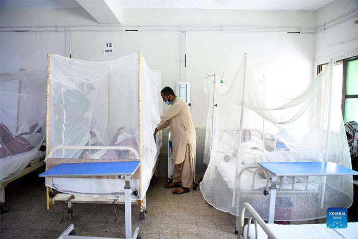Bệnh nhân mắc sốt xuất huyết được điều trị tại bệnh viện ở Islamabad, Pakistan