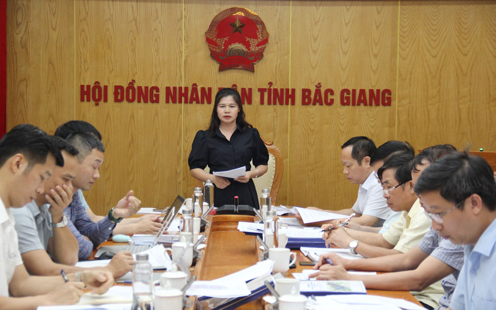 Đảng đoàn HĐND tỉnh Bắc Giang, thẩm định, thẩm tra, nghị quyết