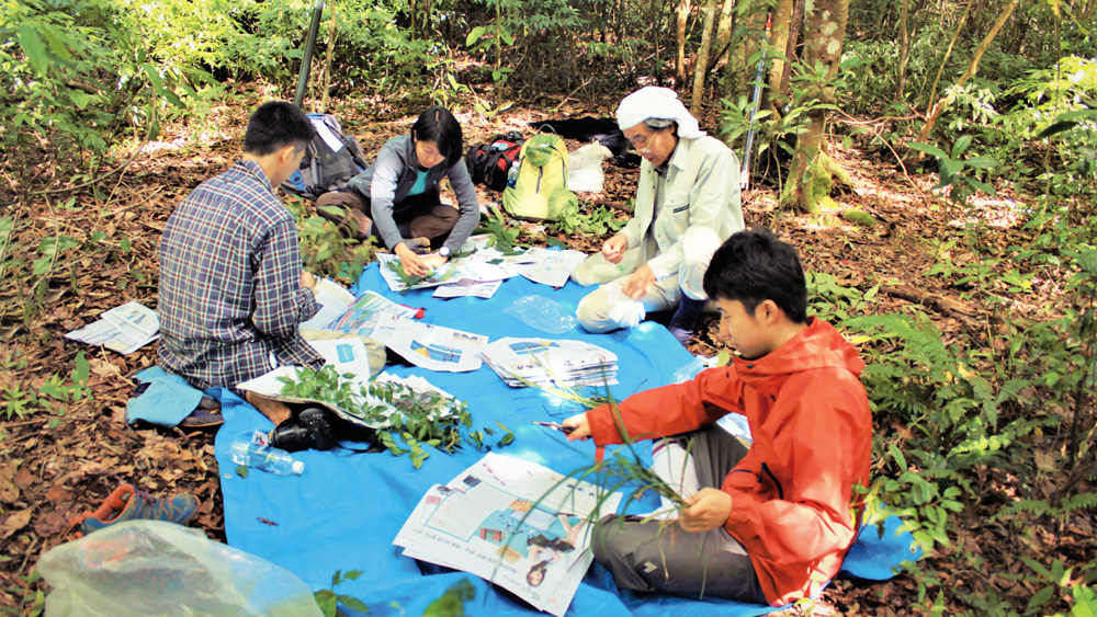 Các chuyên gia khảo sát loài thực vật tại Vườn Quốc gia Bidoup - Núi Bà. Ảnh: Vườn Quốc gia Bidoup - Núi Bà cung cấp