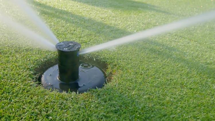 Ước tính, hơn 100.000 lít nước được sử dụng mỗi ngày chỉ cho một lỗ golf