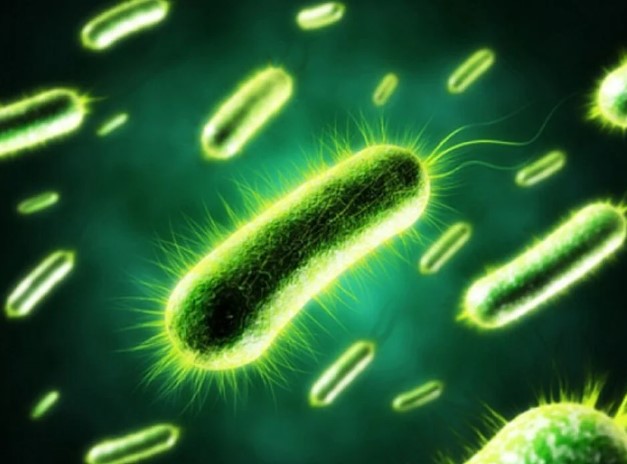 Phương pháp mới sử dụng vi khuẩn E.coli quan trắc nước rất nhạy, nhanh chóng và linh hoạt 
