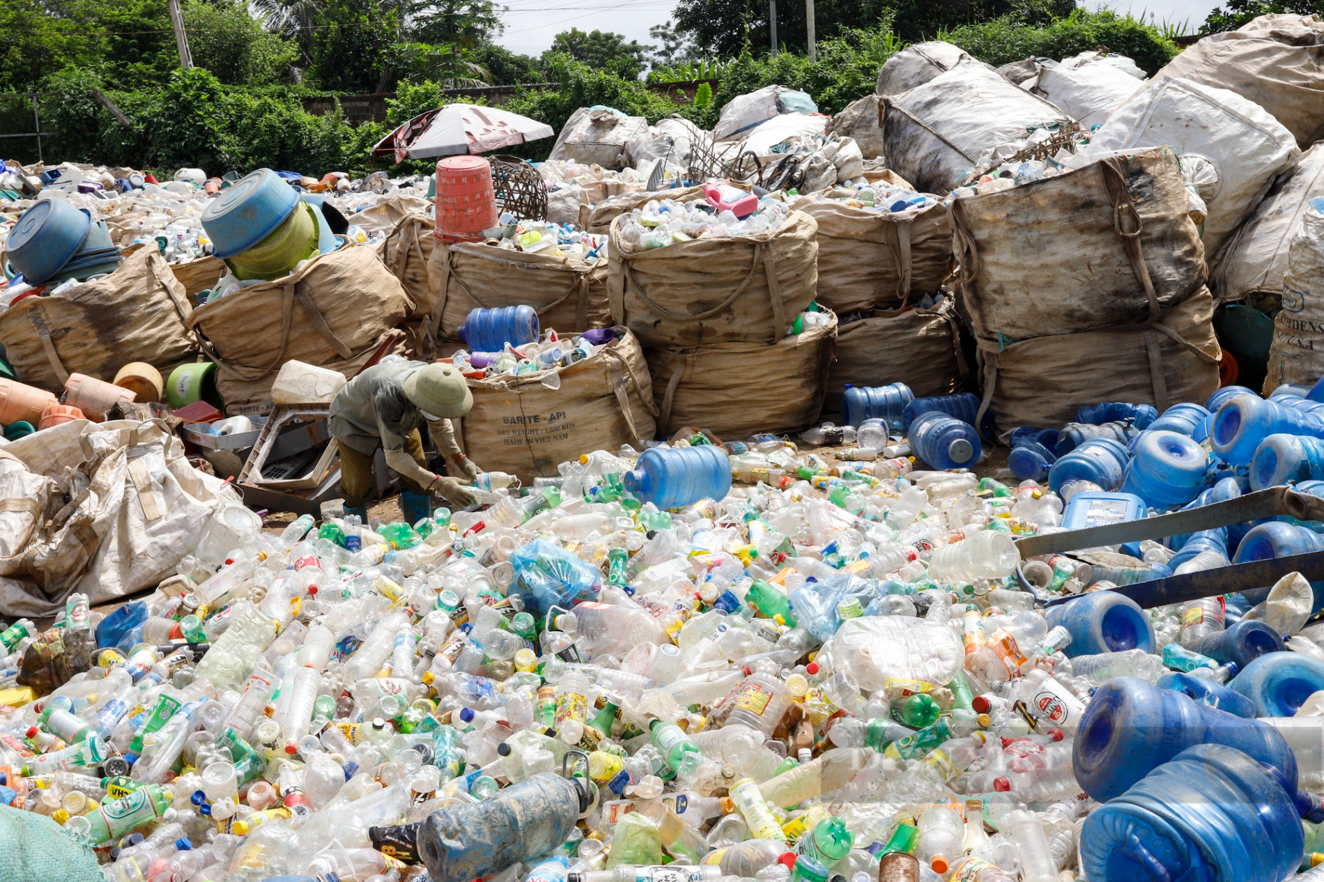 Giám đốc nông dân hiện thực hóa giấc mơ tái chế rác thải thành phân hữu cơ - Ảnh 2.