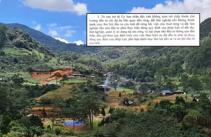Lâm Đồng sẽ không chấp thuận các dự án liên quan đến đất rừng