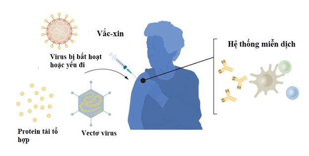 Khám phá liên quan đến vắc-xin mRNA được trao Giải thưởng Nobel Y Sinh 2023