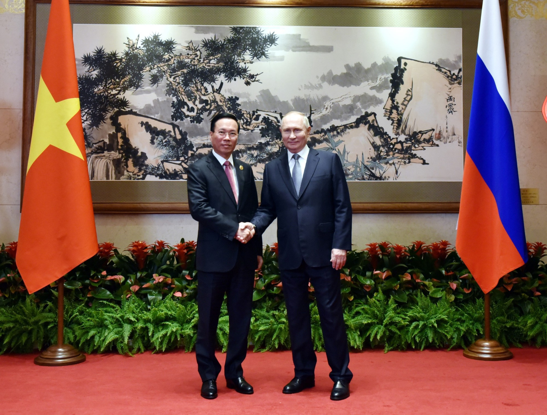 Việt Nam mong muốn cùng Nga phát triển quan hệ đối tác chiến lược toàn diện trên mọi lĩnh vực - Ảnh 1.