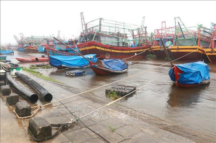 Tàu thuyền của ngư dân vào neo đậu an toàn tại Khu neo đậu tránh trú bão Nam Cửa Việt, huyện Triệu Phong (Quảng Trị). Ảnh: Nguyên Lý/TTXVN