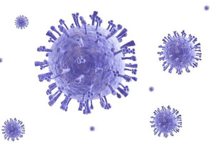 Virus cúm lây nhiễm ở người được phân thành ba nhóm chính: A, B và C.