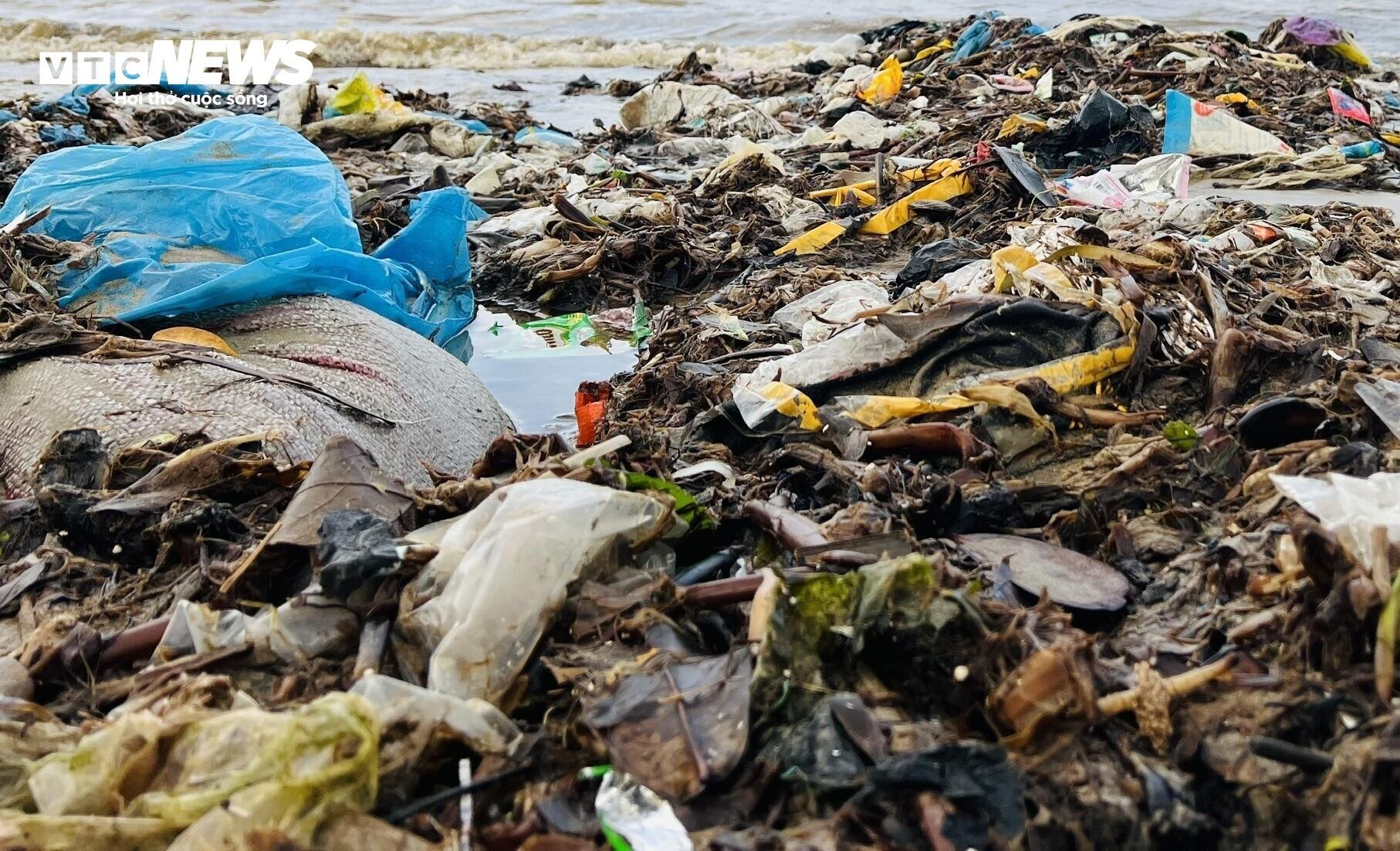 Kinh hãi rác thải phủ kín 300 mét bờ biển Quảng Ngãi - 3